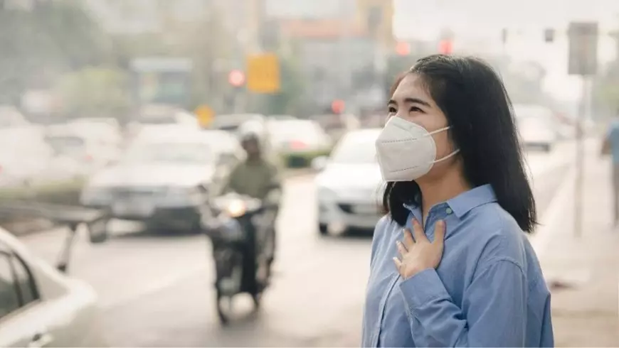 Cara Memilih Air Purifier yang Tepat untuk Rumah Sehat
